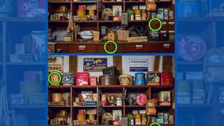 Find 500 Differences level 20 Game Book