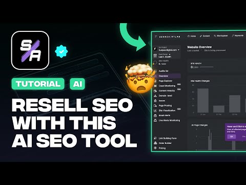 local seo