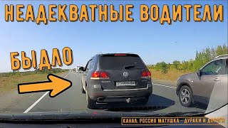 Неадекватные водители и хамы на дороге #455! Подборка на видеорегистратор!