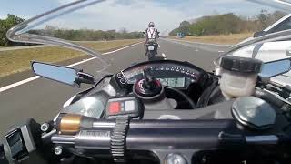 ZX10r FILMANDO PEGA SPEED TRIPLE1050 VS MT09