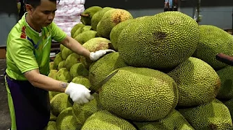 Perfect Fruit Cutting Skills! Asian Fruit Cutting Masters at the Highest Level