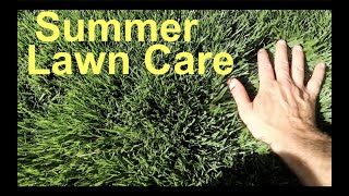 Get a GREEN LAWN in Summer Without Burning It