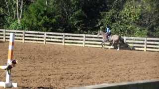 Hunter Hack Schooling Show 4H
