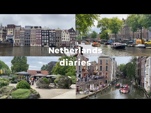 🇳🇱 네덜란드 브이로그 |  무더위가 찾아온 여름, 입맛 터진 집밥 기록, 여름 가방 뜨개, 쿤스트할 로테르담 cute 전시, 암스테르담 나들이, 위트레흐트 식물원 탐방 (4K)