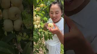 Agriculture Village Fresh Fruit #Viral #Fruit #Shorts #1004