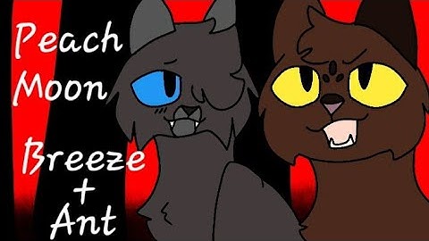 🍑🌛Peach Moon🌛🍑 Antpelt x Breezepelt pmv