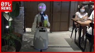 【分身ロボット】“障害者が接客する”カフェ　フランス副大臣が視察