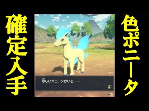 序盤で可能 色違いポニータを確定で入手する方法 Pokemon Legends アルセウス Youtube