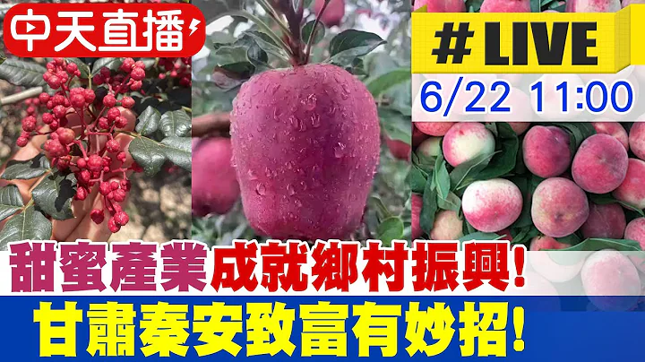 【中天直播#LIVE】"甜蜜产业"成就乡村振兴美丽画卷! 甘肃秦安致富"果"然有妙招! 20230622 @Global_Vision - 天天要闻