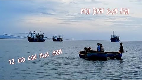Câu Mực Đêm , Câu Mực Đấy , Mực Cái , Mực Óng Tại Mũi Dinh Sơn Hải
