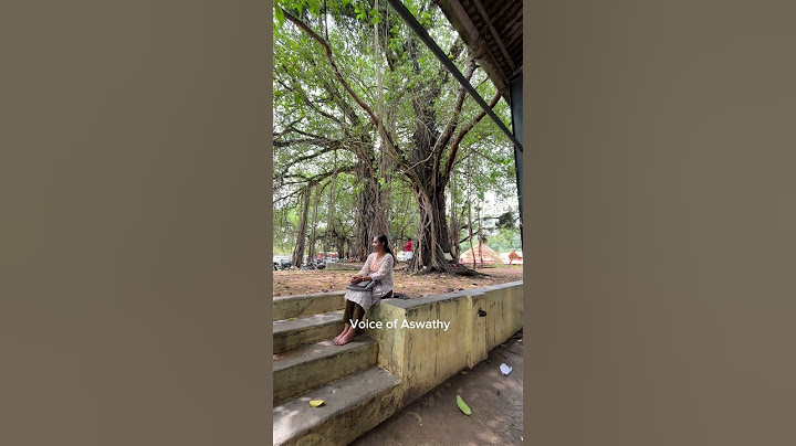 കൊടുങ്ങല്ലൂരമ്മയെ കാണാനൊരു യാത്ര.... #devi #travel #malayalam #ksrtcbus #trendingshorts #viralshorts