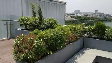 Chậu composite, chậu hoa composite, chậu cây composite MGPOT