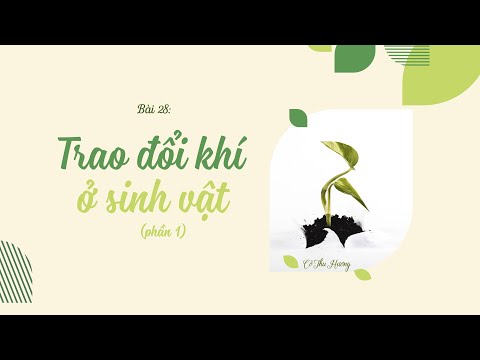 Video Bài 28. Trao đổi khí ở sinh vật (phần 1) - KHTN lớp 7... - youtube