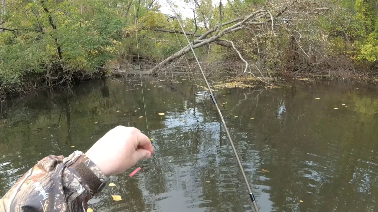 New York Creek Fishing YouTube