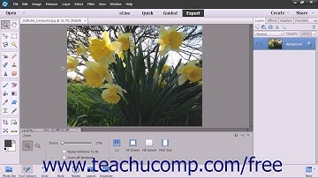 Photoshop Elements 13 Tutorial Adjusting Brightness/Contrast Adobe Training