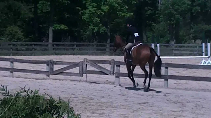 Gerald Swan Lake Spring Horse Show Thoroughbred Hu...