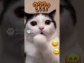 😱😱😱😱 #cat #нейрокотики #мем #юмор #веселыекоты #мем #рекомендации #видосыоткота #foryou #смех