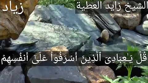 تلاوة تهتز لها الأبدان الشيخ زايد عطية