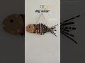 DIY Key Holder for Wall🔑#diy #ytshorts #viral #craft #handmade #millionviews #shortvideo #keyholder