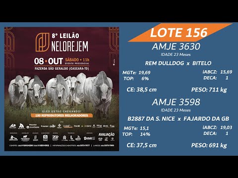 LOTE 156