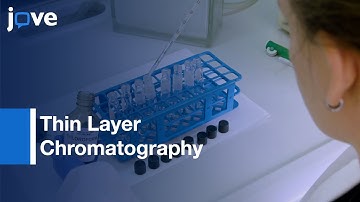 TLC used to Analyse the Lipid Composition of Mycobacteria