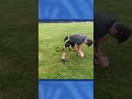 The Shotgun Rollout Drill to give Quarterbacks more time to Complete their Throw.