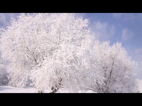 فيديو: ما هو وقت الشتاء