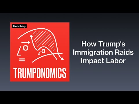 How Will Trump’s Immigration Raids Affect American Workers? | Trumponomics Episode cover