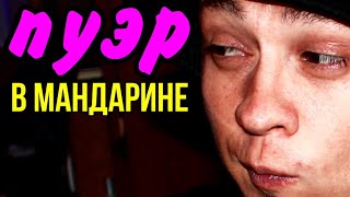 ПУЭР в мандарине | Реальный эффект от ПУЭРА | как заваривать ШУ ПУЭР в мандарине 18+