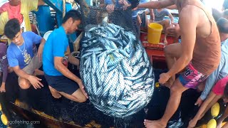 More than 1000 kg Fish Catch | Sharing to Small Fishermen | Ang Daming Isda ang Nahuli