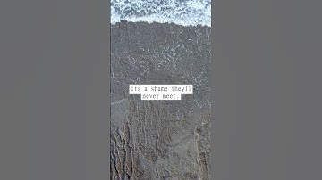 Parallel lines have so much in common. #fyp #memes #comedy #trending #jokes #funny