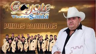 CORRIDOS CON BANDA - MIX EL COYOTE Y SU BANDA TIERRA SANTA PUROS CORRIDOS