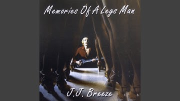 The Spider and the Fly