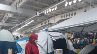 Shafia Beli Tenda Camping
