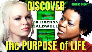 Discovering Your Life's Purpose With Dr. B Brenda Caldwell at The Herland Report