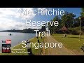 Singapore MacRitchie Nature Preserve Trails