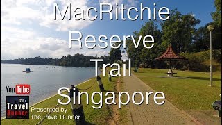 Singapore MacRitchie Nature Preserve Trails