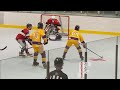 NSIHLA Roller Hockey ft. Connor Bedard, Kent Johnson, Jake Christiansen. Great Guys v The Holes