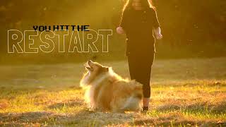 Restart || Part 9 for Ria by Thunder Collie 381 views 8 months ago 20 seconds