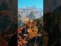 الله يعلم ما نخفي بدون موسيقى اكسبلور تصميمي Explore Trending تيك توك Edit اناشيد الله يعلم ما نخفي بدون موسيقى اكسبلور تصميمي Explore Trending تيك توك Edit اناشيد