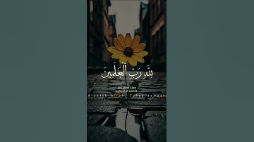 قرآن الكريم 😌 #قرآن #اكسبلورر #duet #اكسبلورفولو #اكسبلور #دويتو #لايك #فولو #حالات_واتس #قران