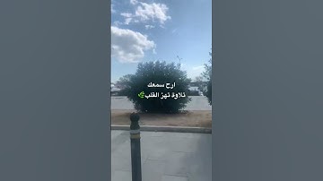 تلاوة تهز القلب🌿السيخ الحصري #قرآن_كريم #اكسبلور