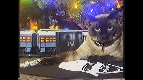 EVA- Opia (Official Music Video)