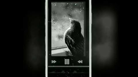 اجمل حالات واتس اب 💜 القارئ حسام الدين عبادي