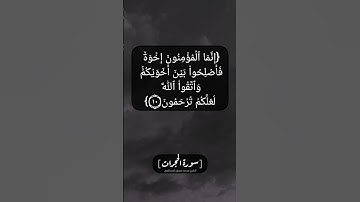 سورة الحجرات الآية ١٠ بصوت الشيخ محمد صديق المنشاوي