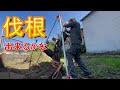 【古民家DIY】50代無職　古民家素人リノベ　#０３ 初めての伐根作業が辛すぎる　/リノベーション/リフォーム/DIY