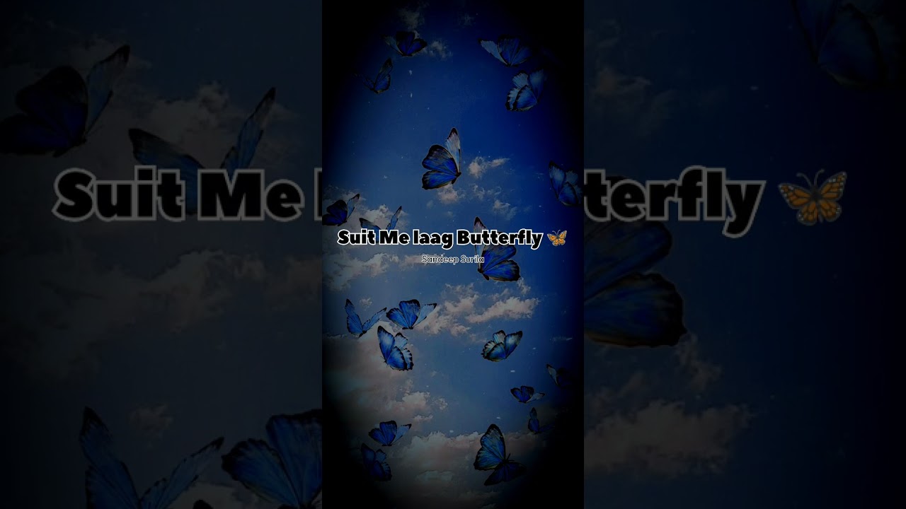 Miss Butterfly 🦋 Lo-fi  || Sandeep Surila || Riva Arora|| New Song 2025 ||