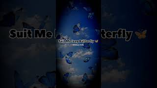 Miss Butterfly 🦋 Lo-fi  || Sandeep Surila || Riva Arora|| New Song 2025 ||