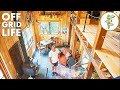 Un homme vivant hors rseau dans son incroyable cabane construite par luimme