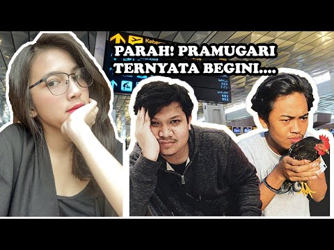 Video: Di mana harus menonton pramugari?